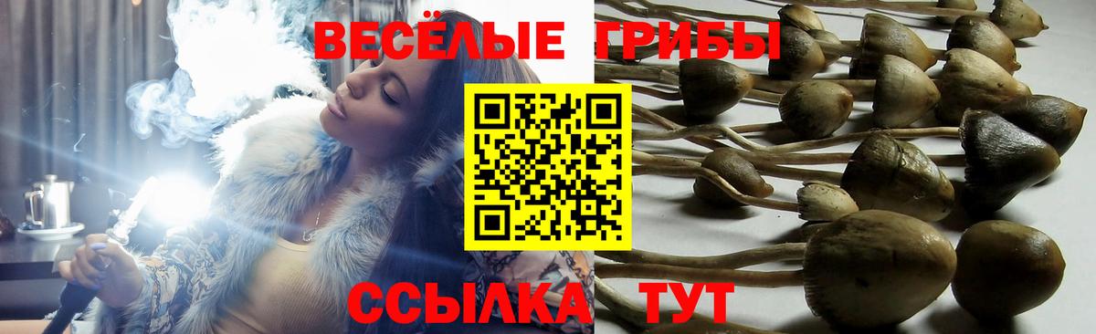 Минеральные Воды  Псилоцибиновые грибы Psilocybe  Псилоцибиновые грибы мухоморы  Вход с VPN 